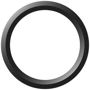 FLAT FACE -10 O-RING